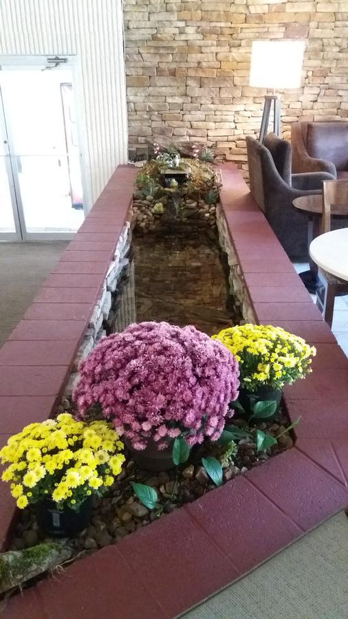 Athens Lodge Zewnętrze zdjęcie